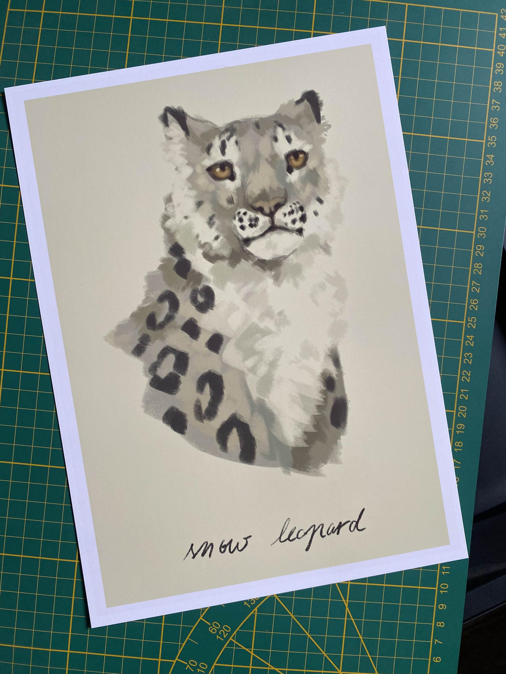 Snow Leopard art print - Wildlife Illustration