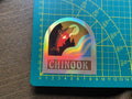 Chinook salmon sticker