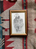 "Turkey vulture" - Framed original