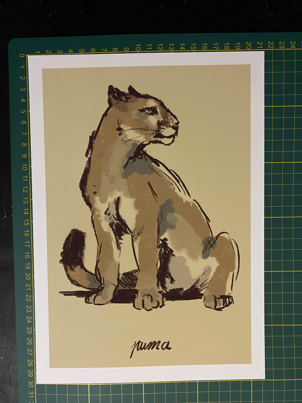 Puma art print - Wildlife illustrations