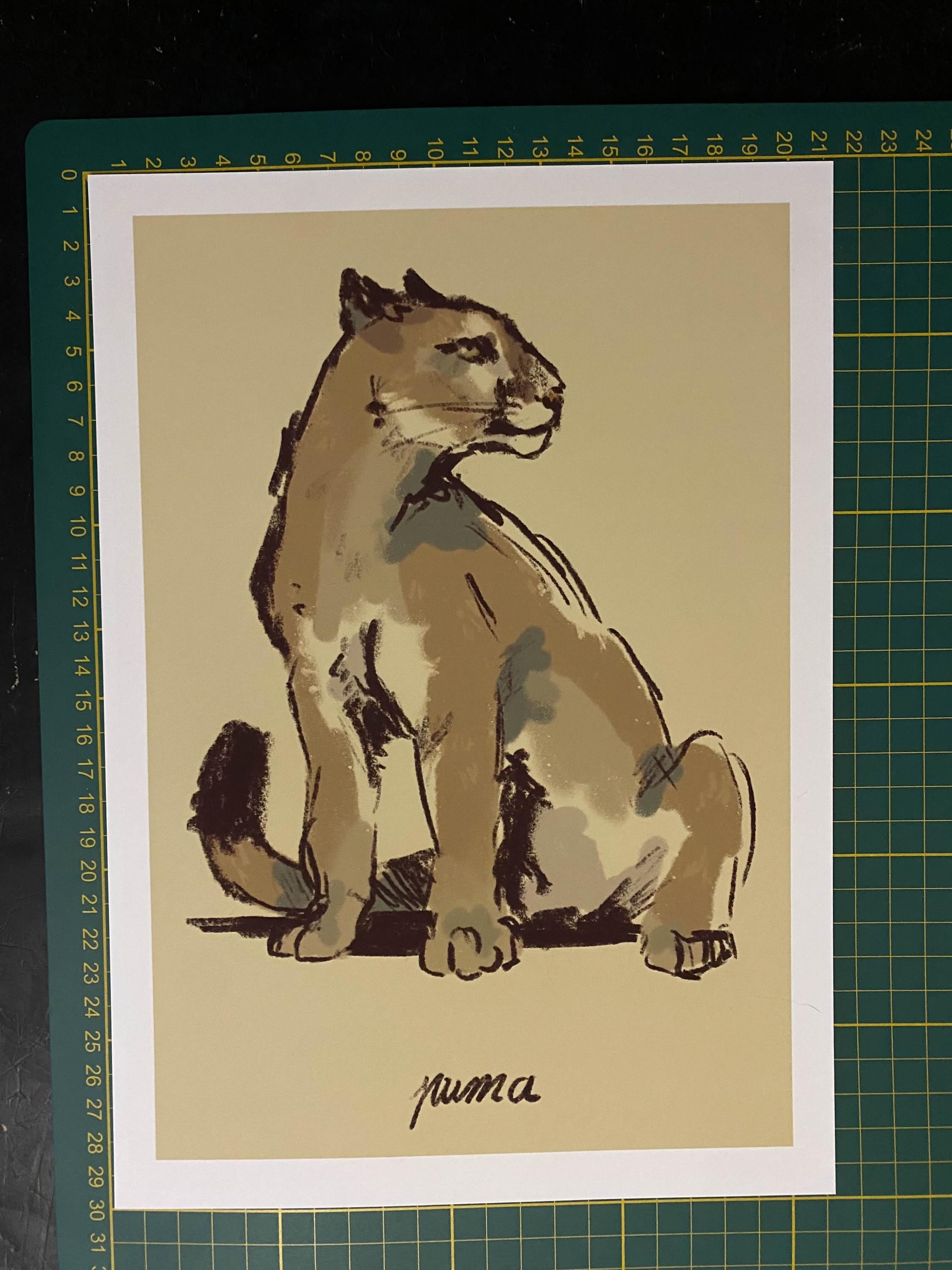 Puma art print - Wildlife illustrations