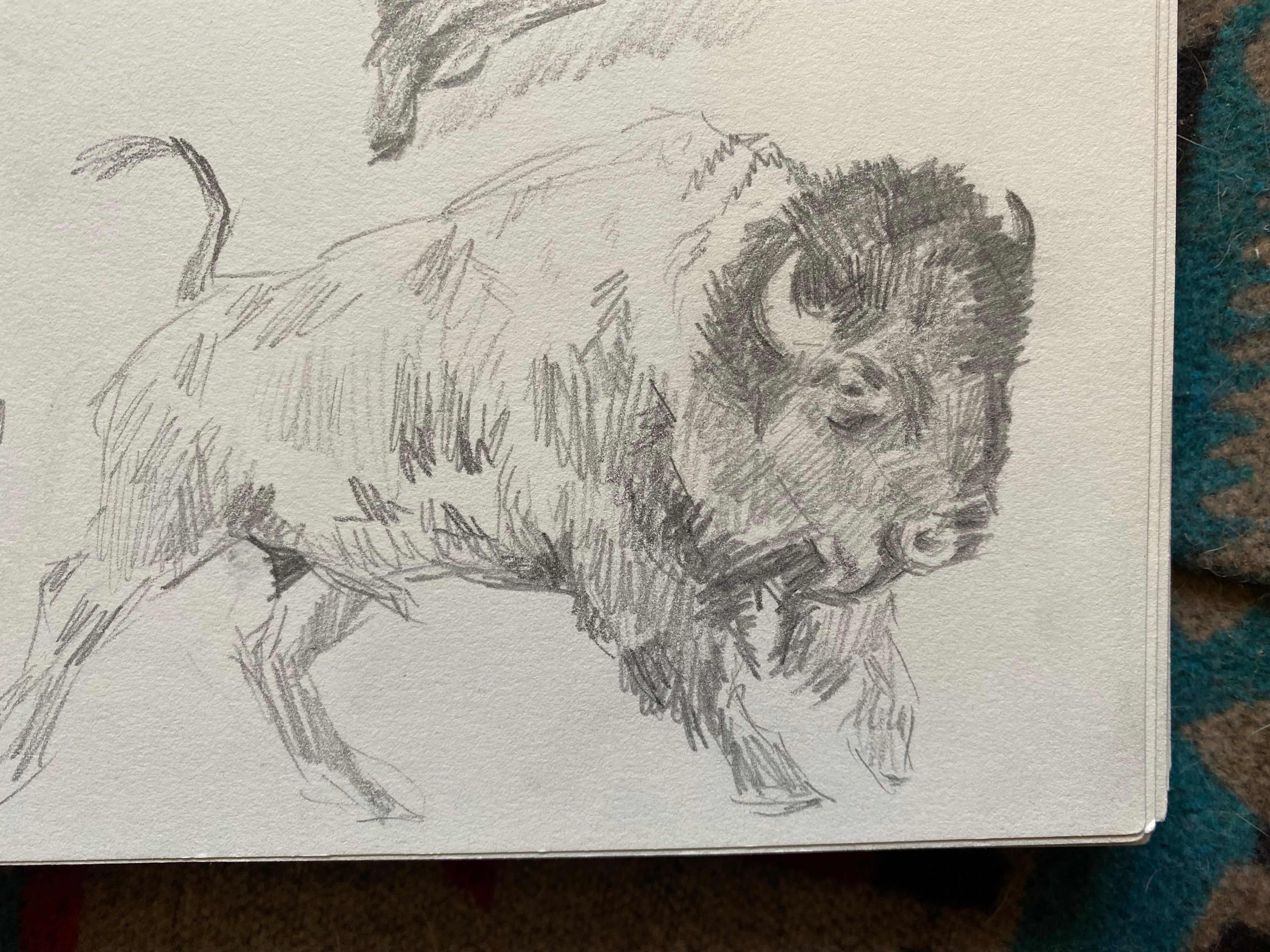 "Into the Steppe", original sketch