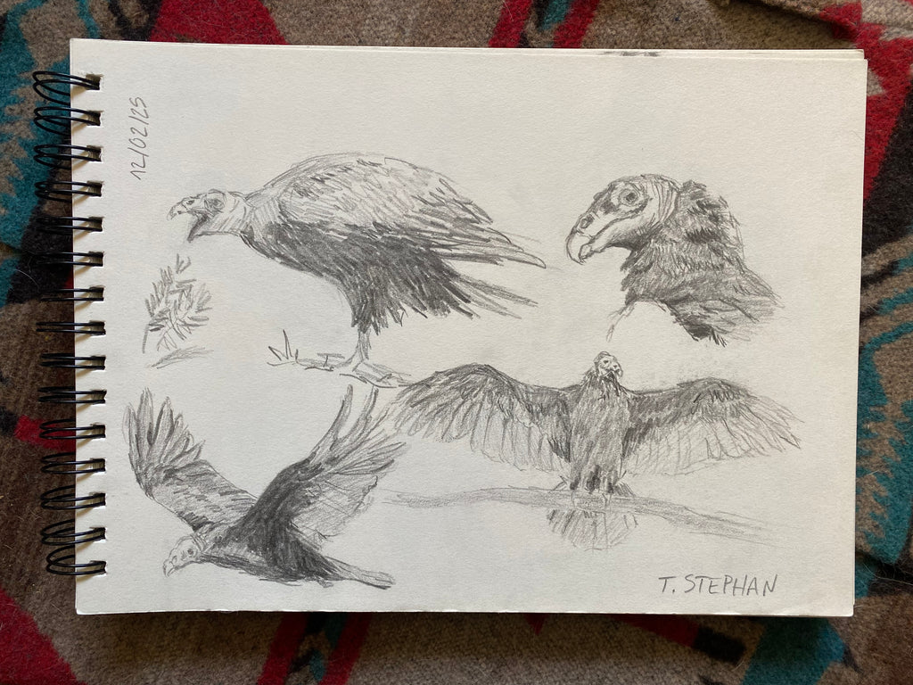 "Vulture study", original sketch