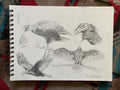 "Vulture study", original sketch