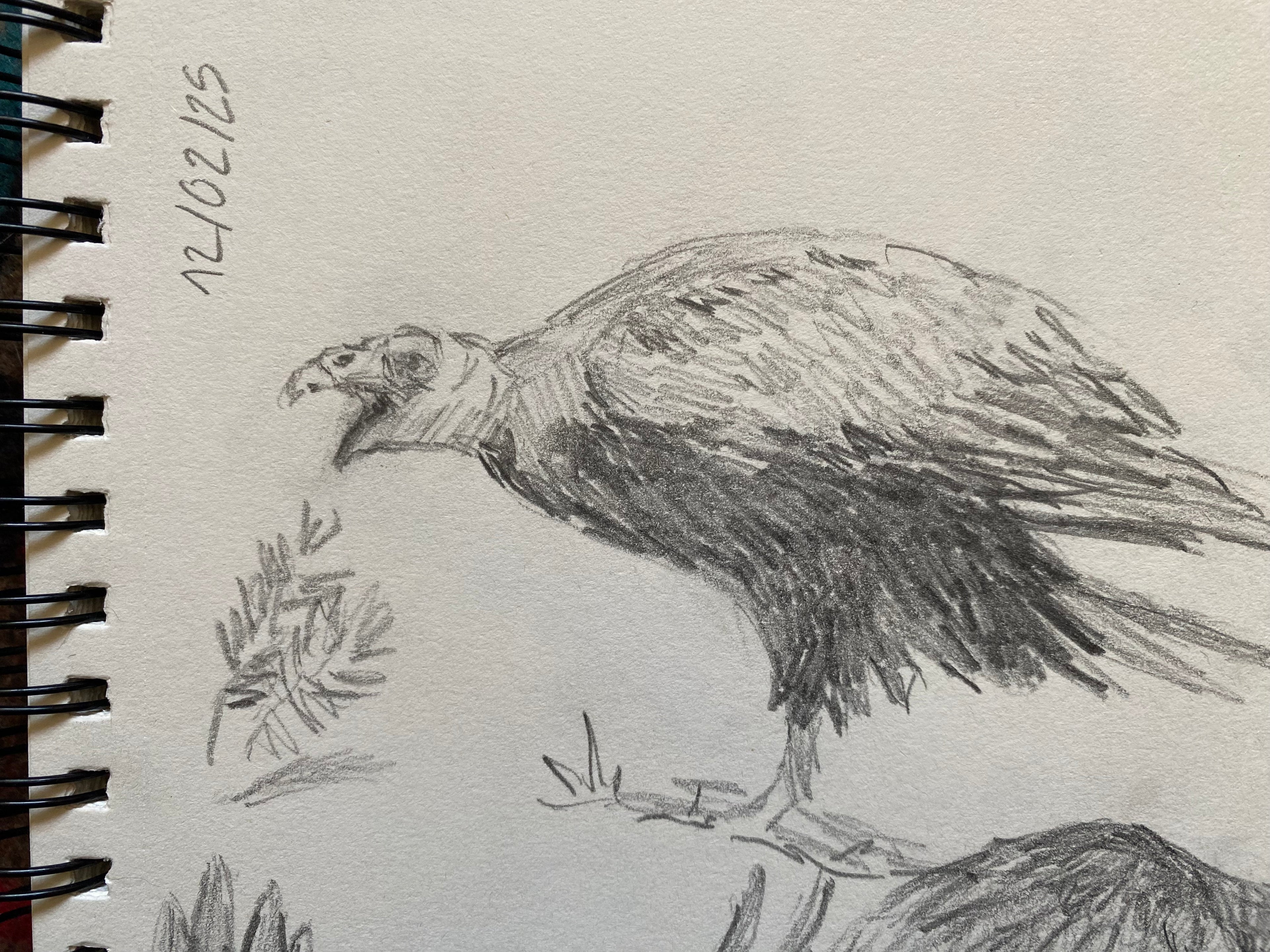 "Vulture study", original sketch