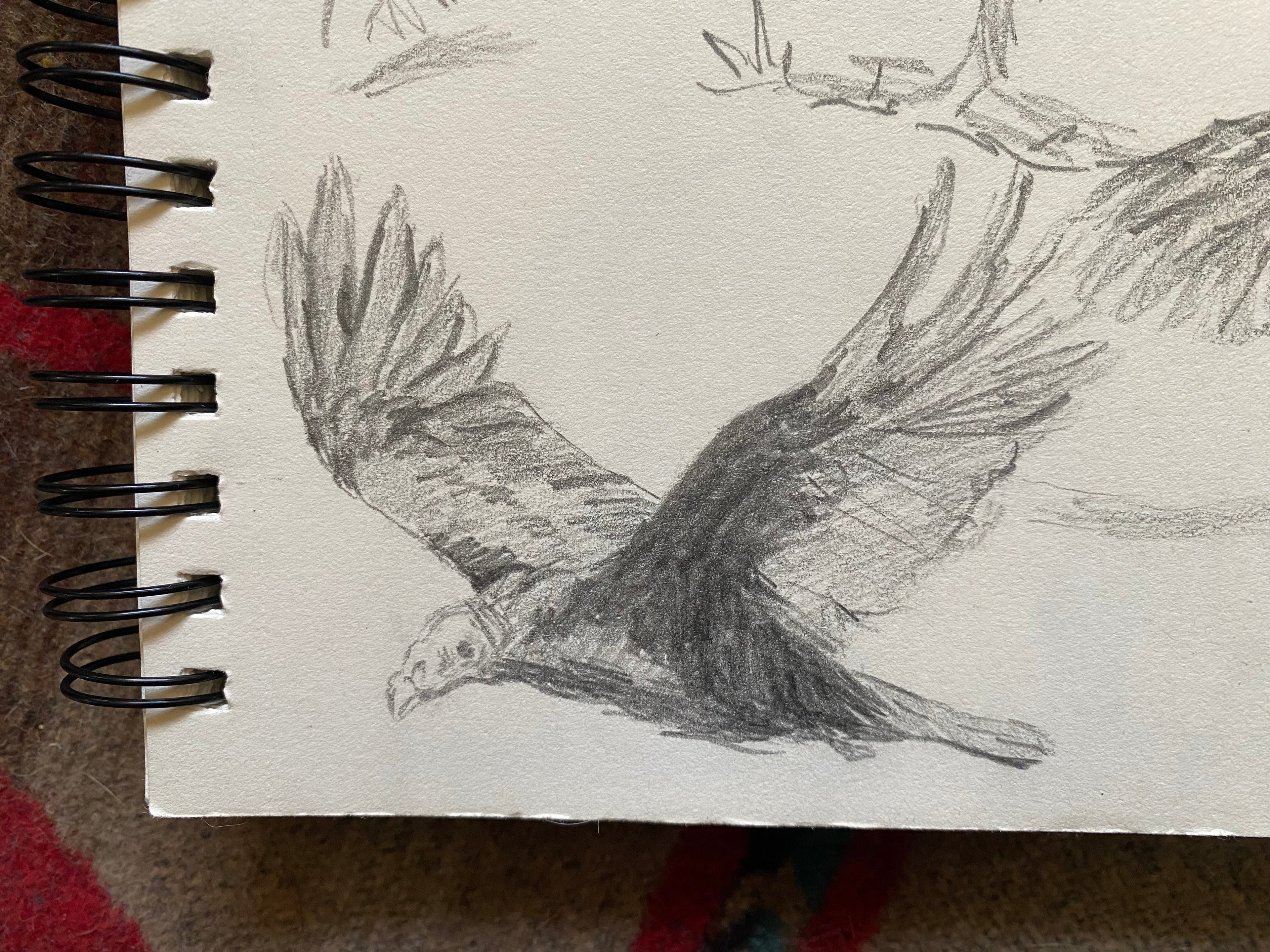 "Vulture study", original sketch