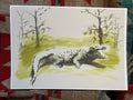 "Sunbathing" art print