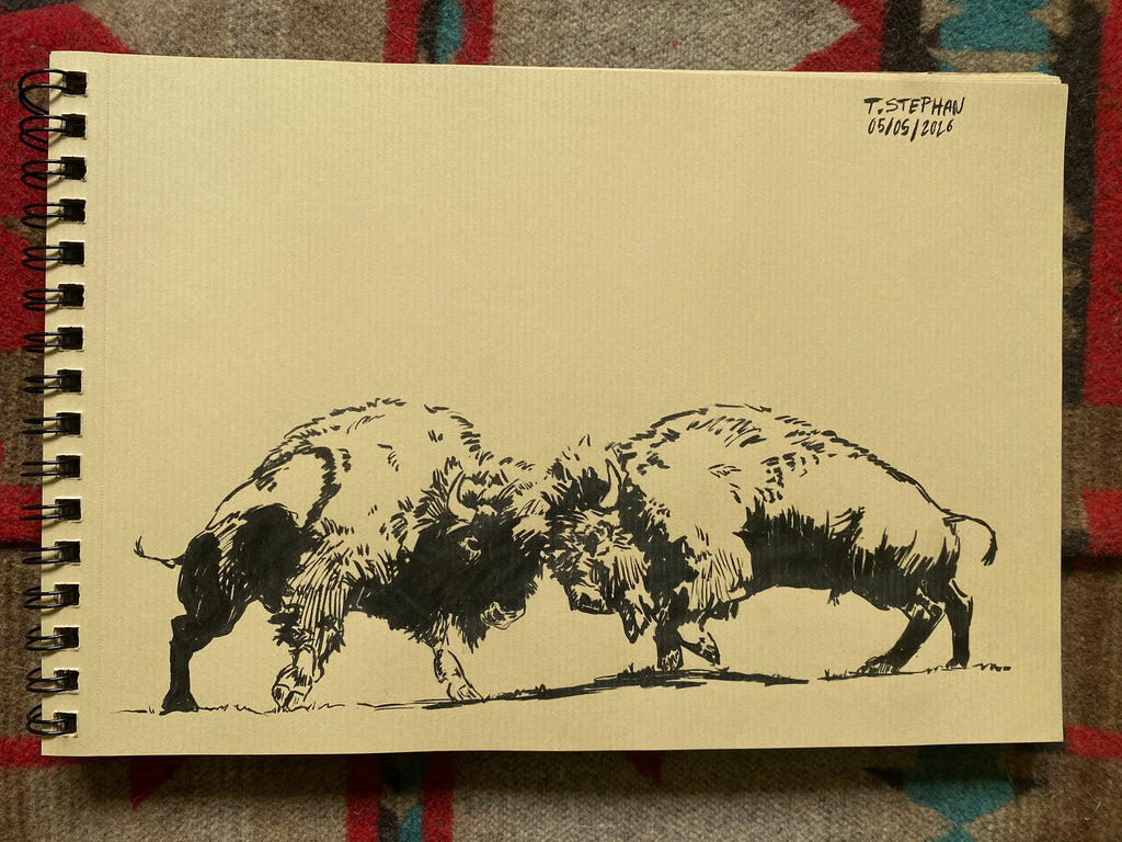 "Bison fight", original sketch