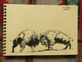 "Bison fight", original sketch