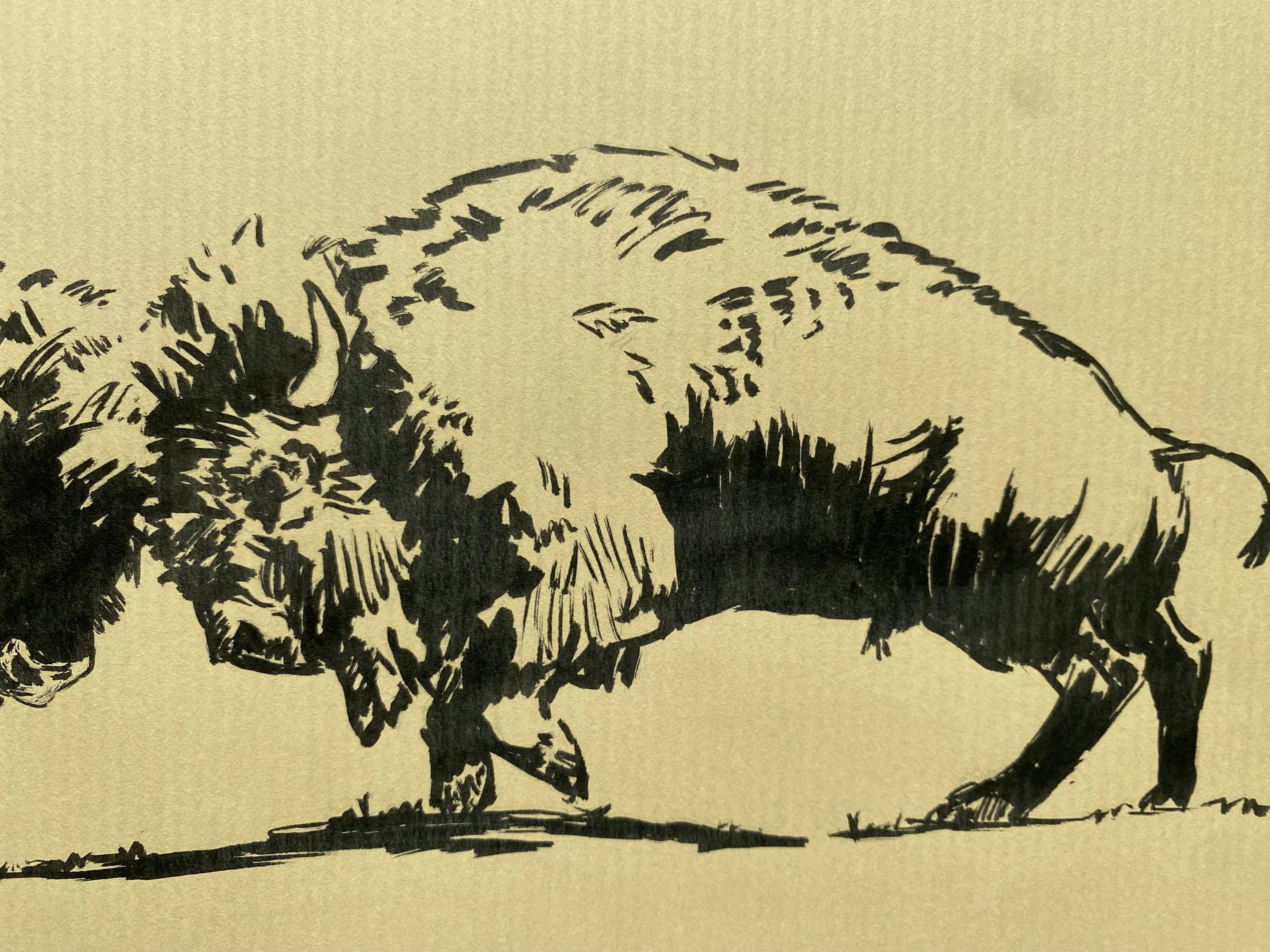 "Bison fight", original sketch