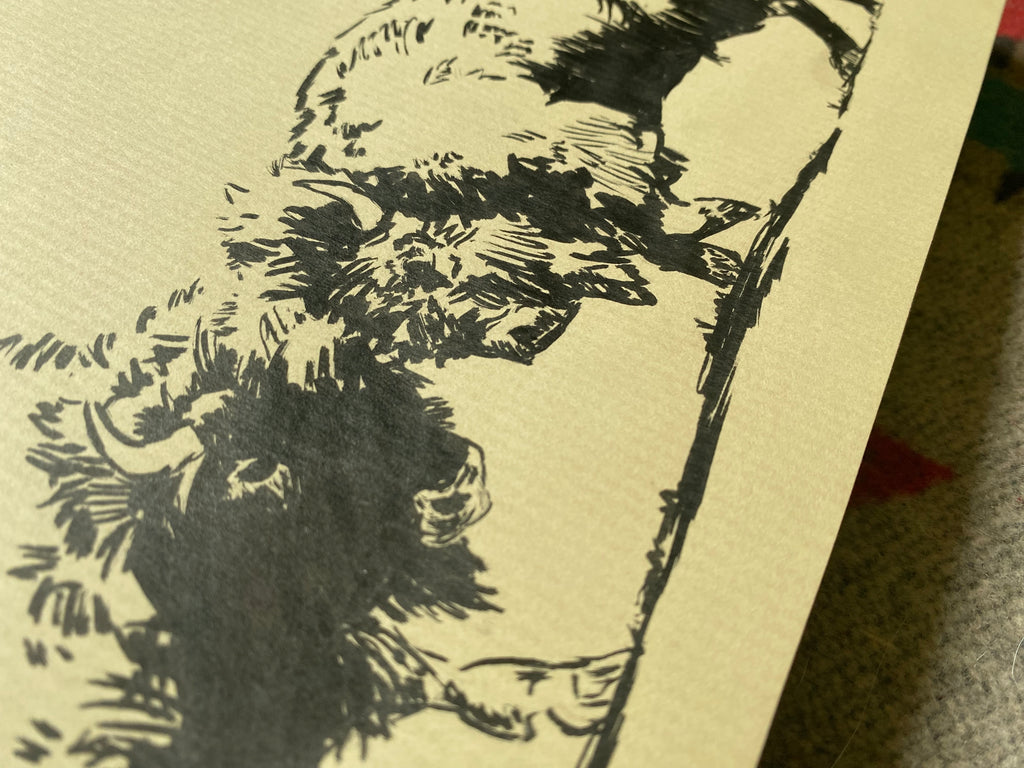 "Bison fight", original sketch