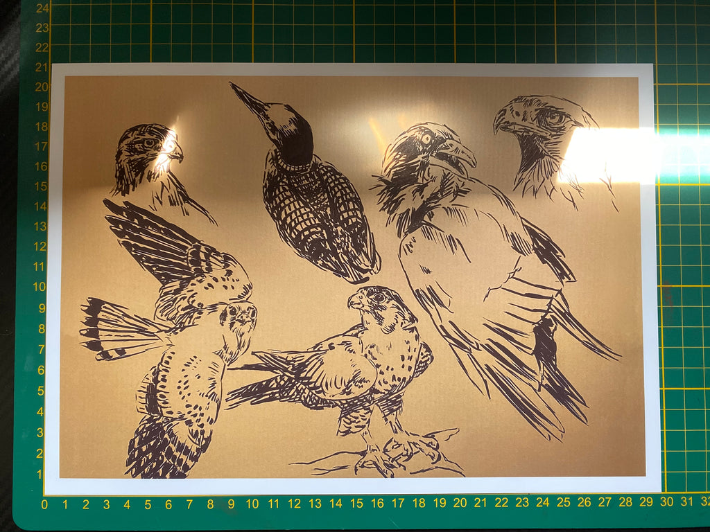 "Bird sketchpage" art print