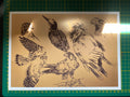 "Bird sketchpage" art print