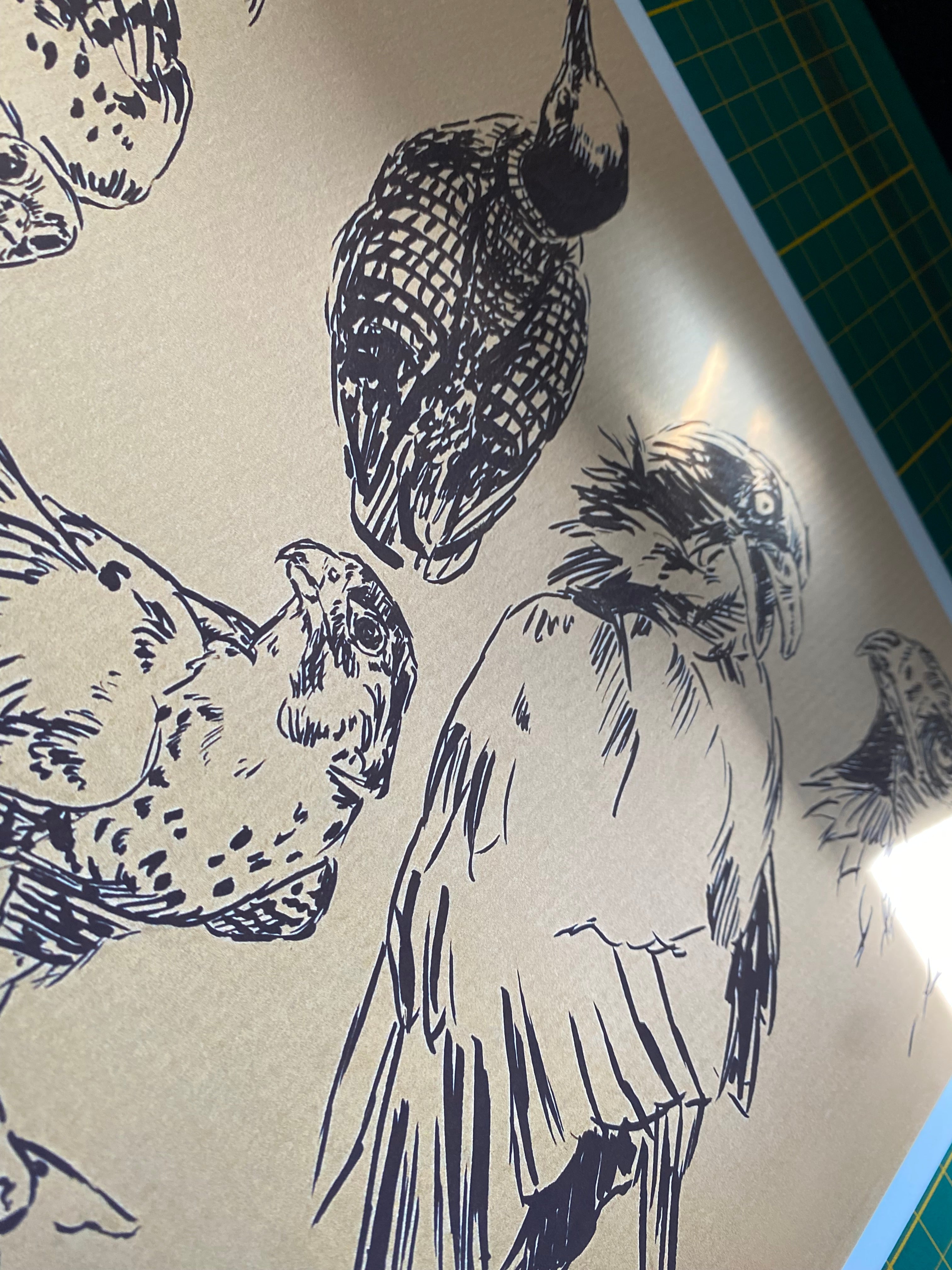 "Bird sketchpage" art print