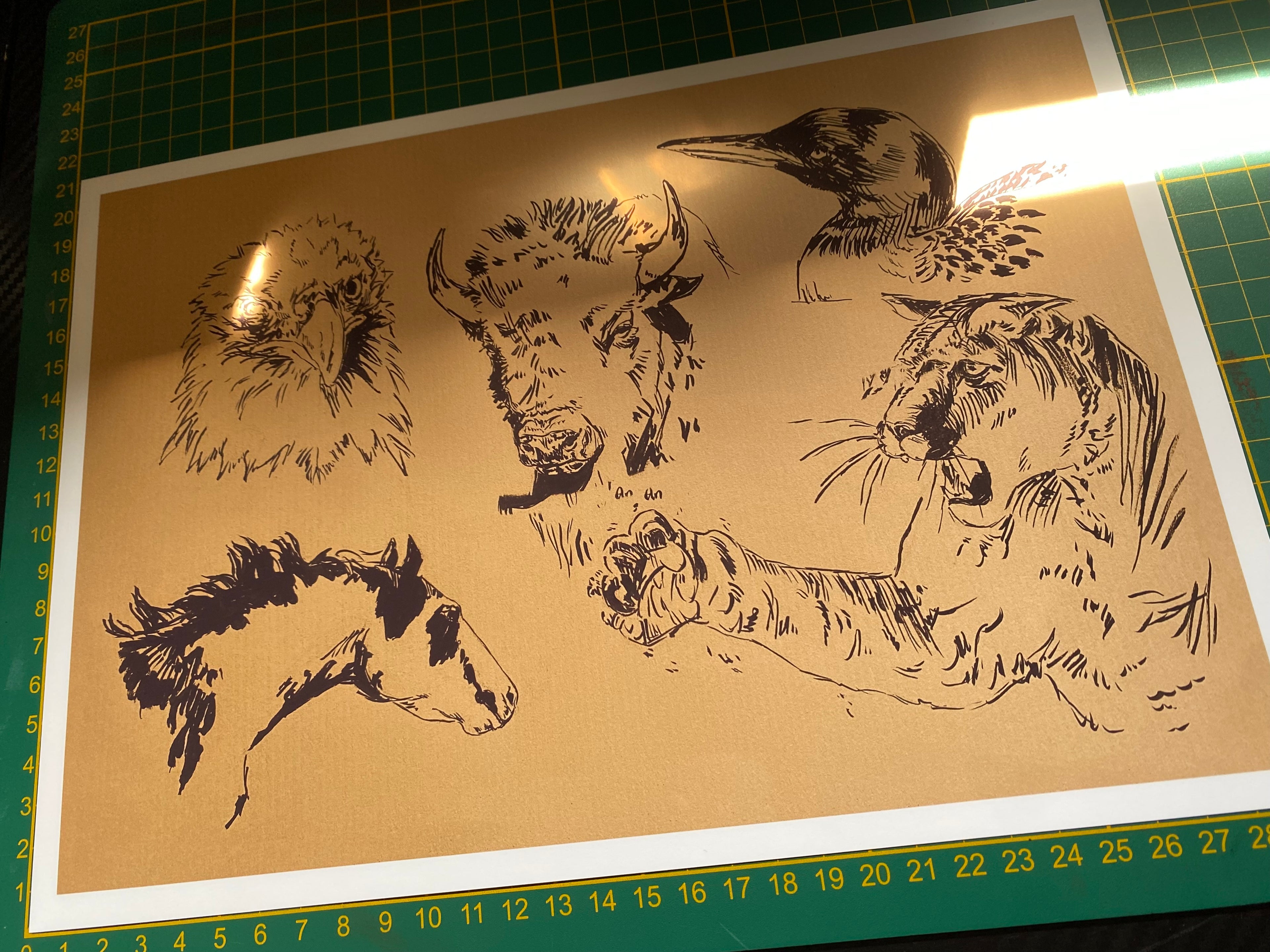 "Wildlife sketchpage" art print