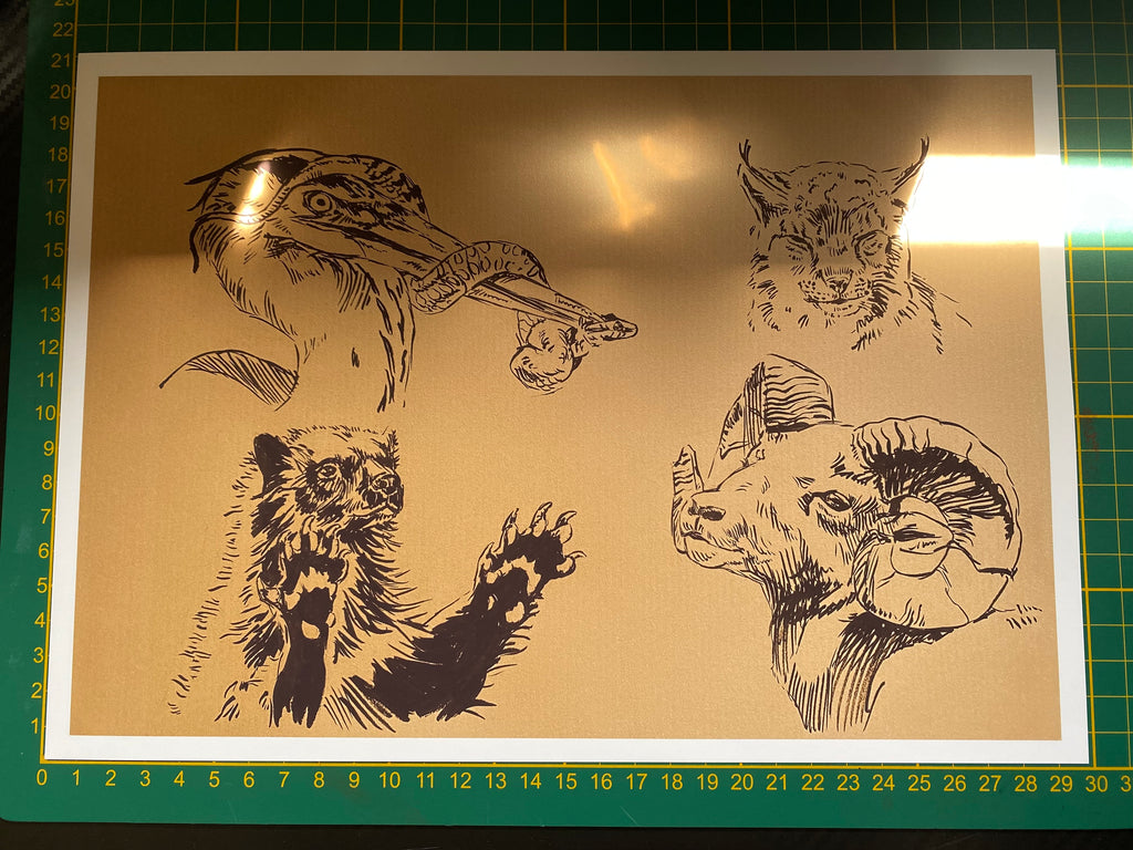 "Wildlife sketchpage" art print