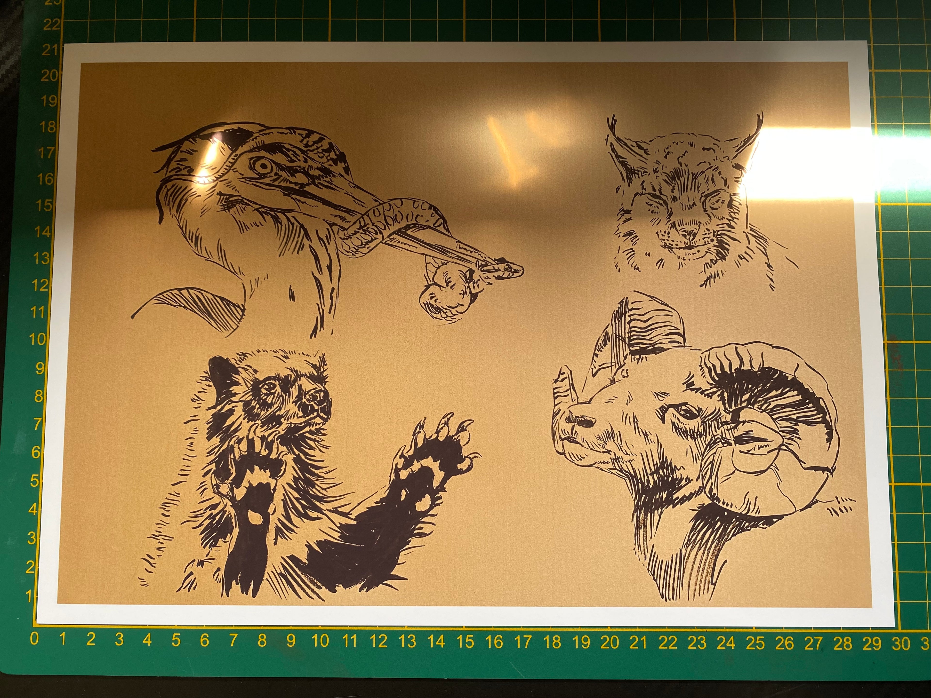"Wildlife sketchpage" art print