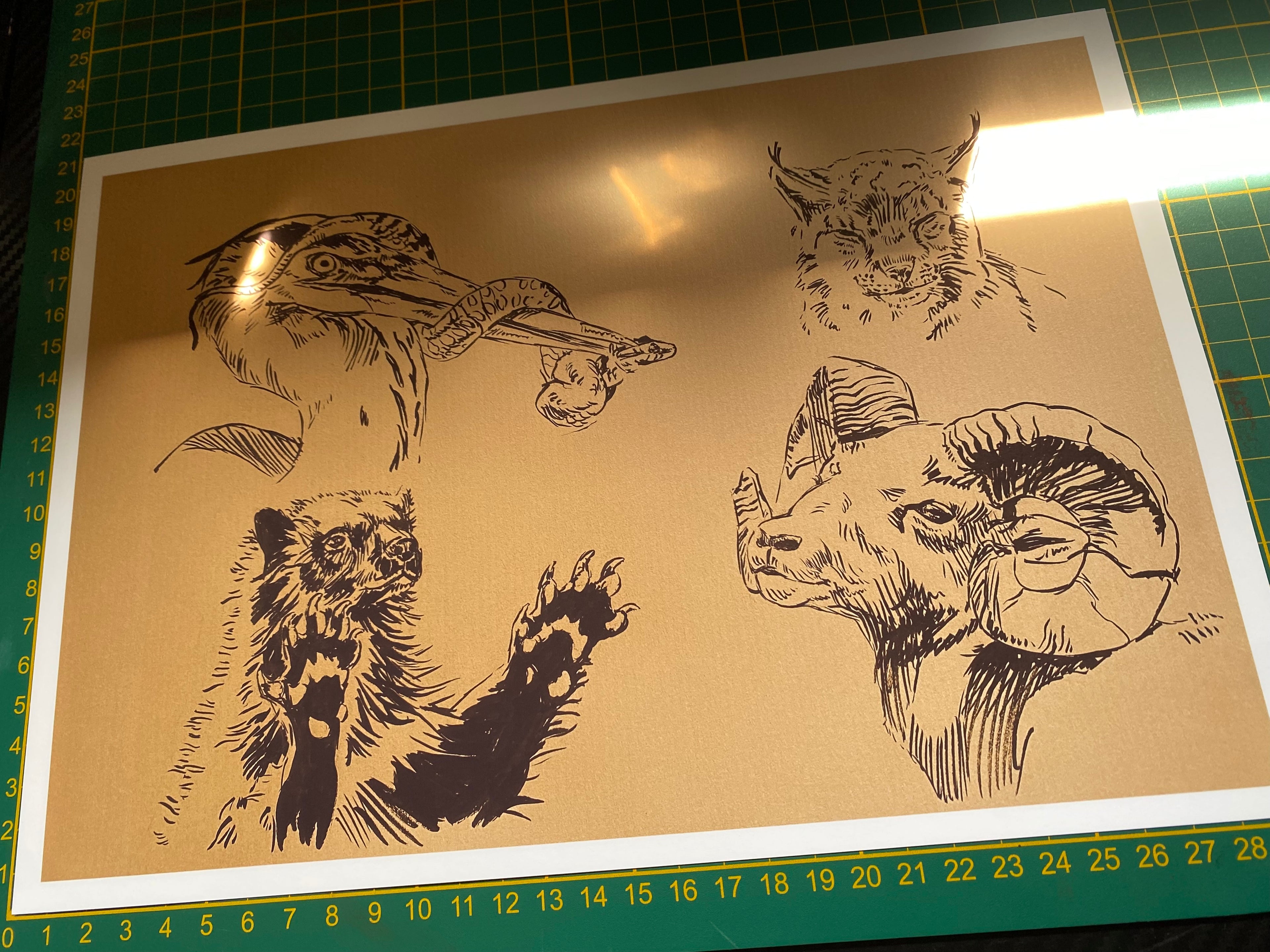 "Wildlife sketchpage" art print