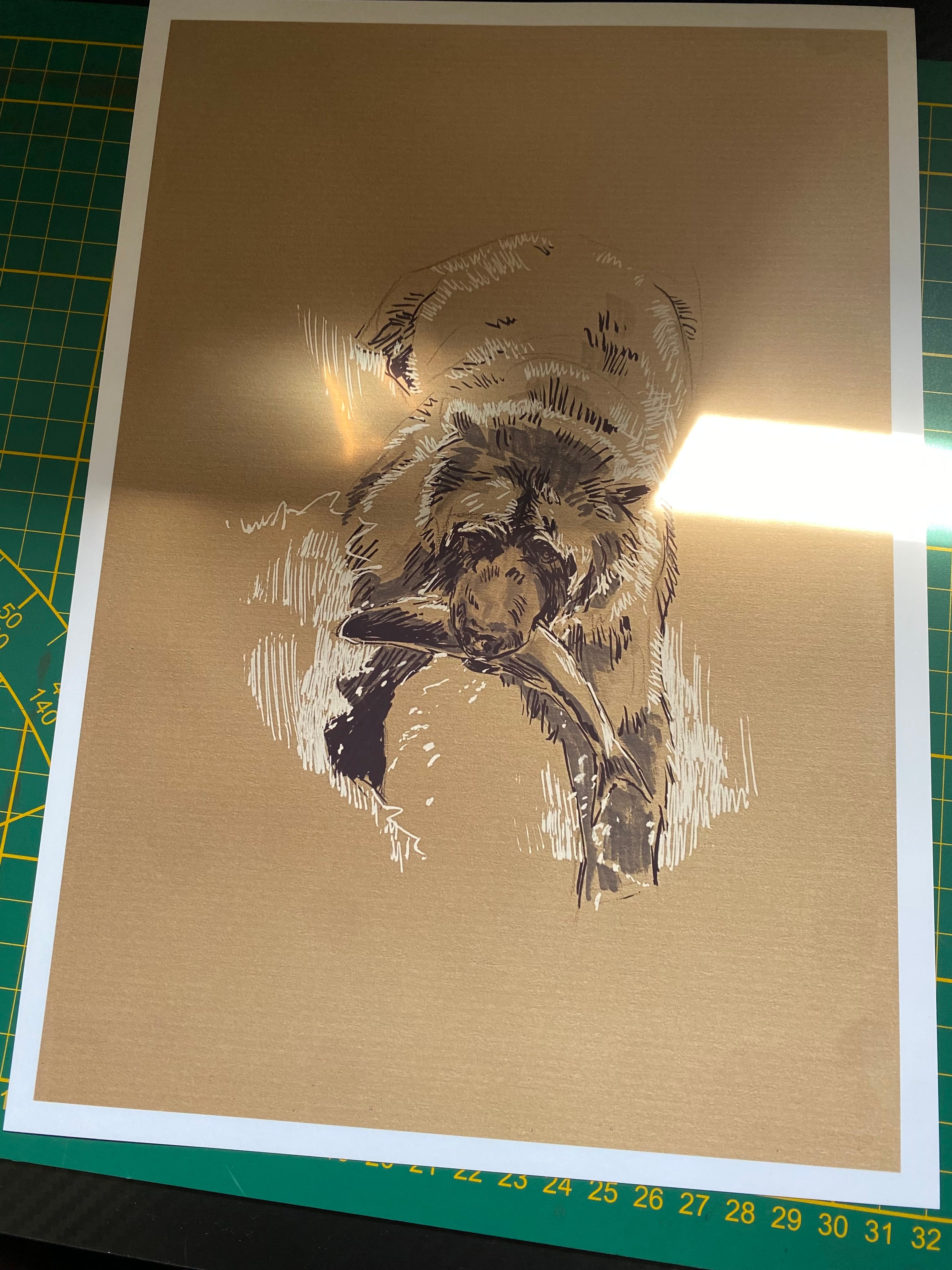 "Fishing bear sketch" art print