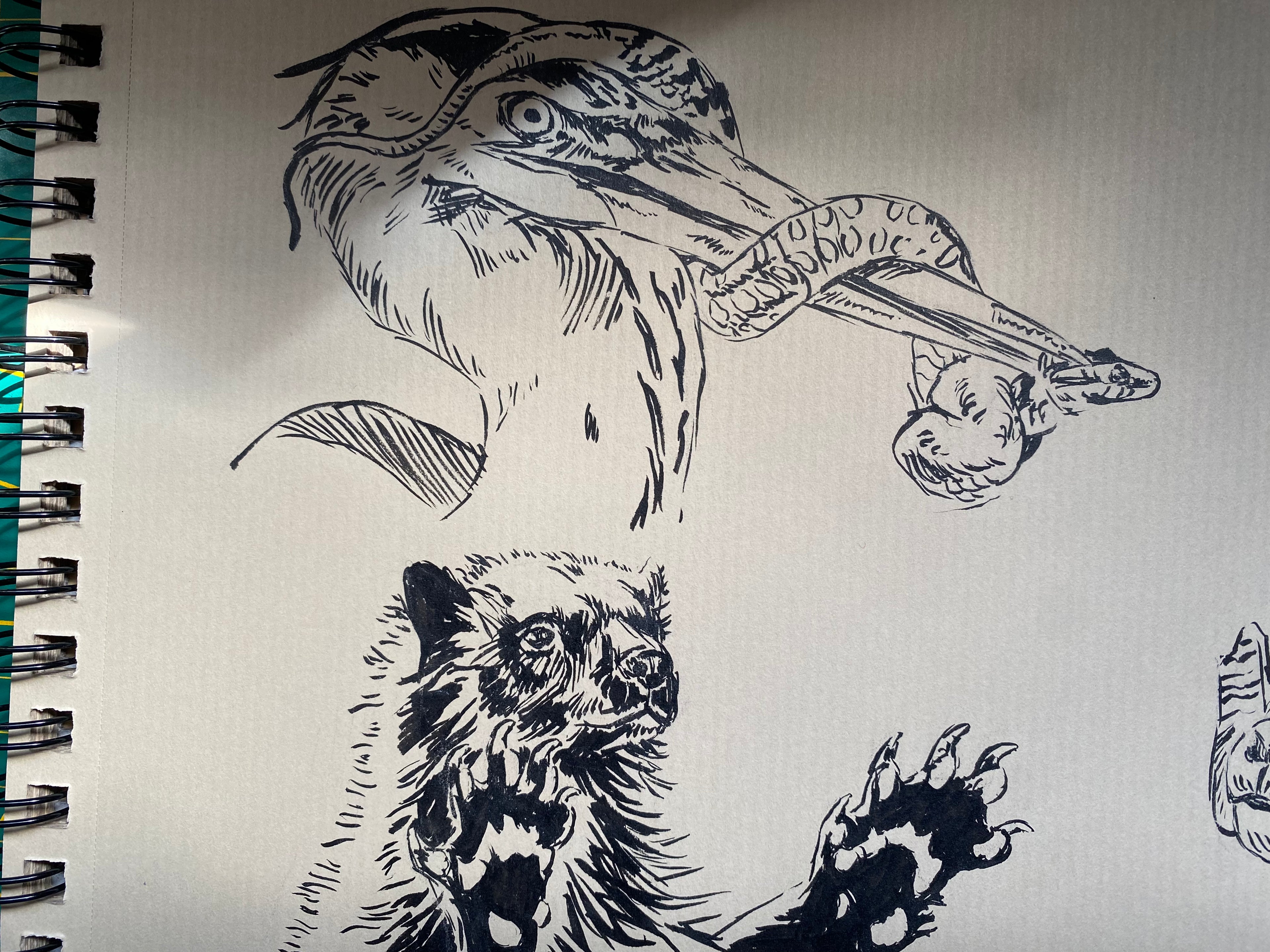 Original sketchpage