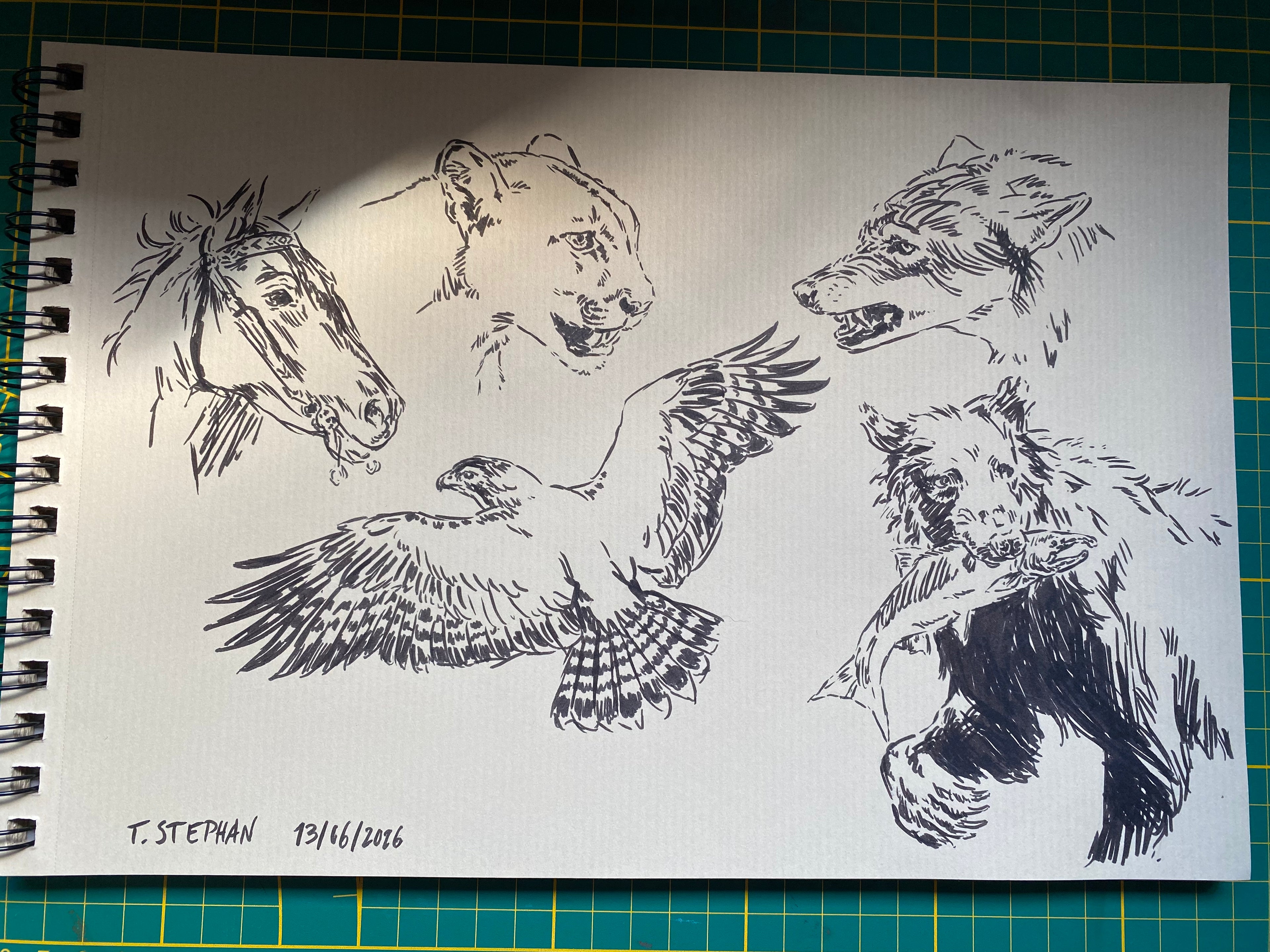 Original sketchpage