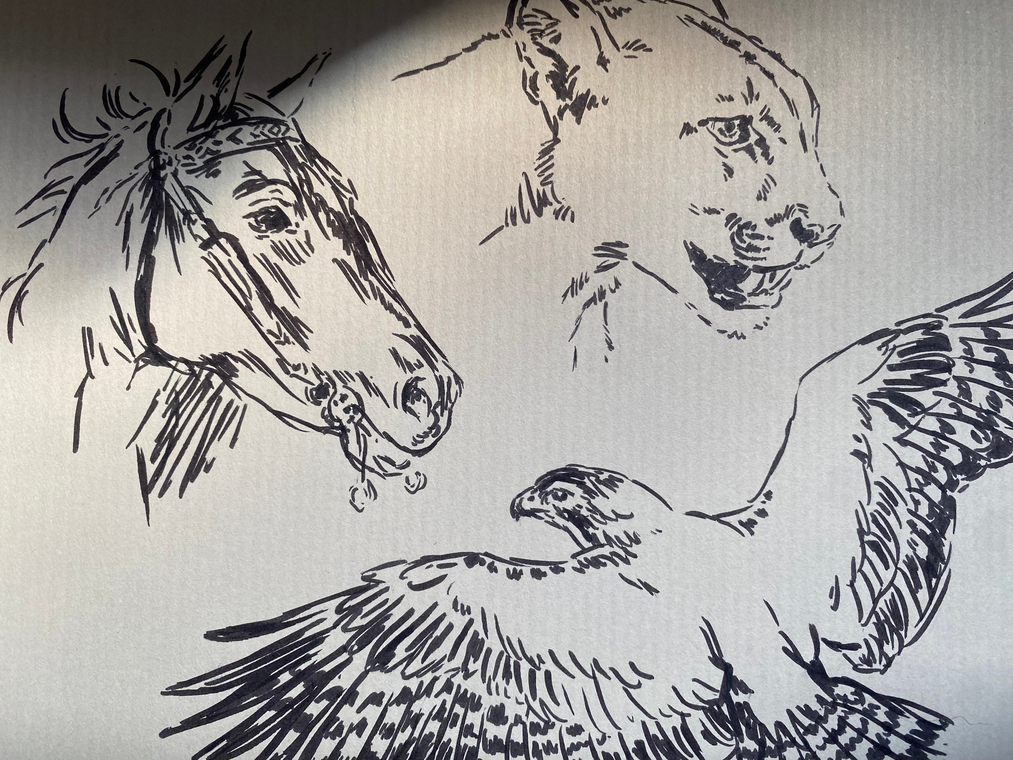 Original sketchpage