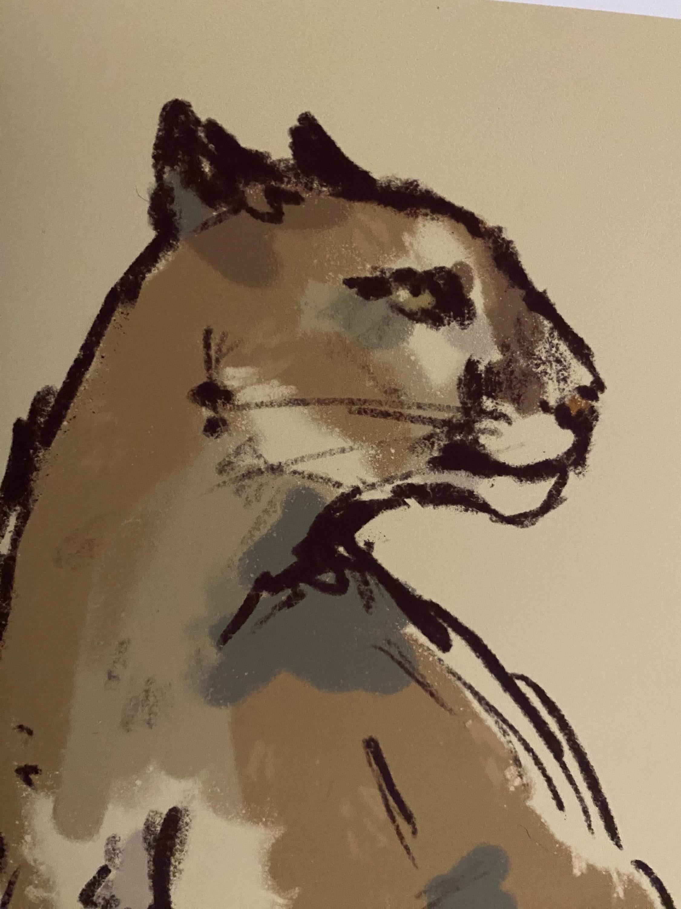 Puma art print - Wildlife illustrations