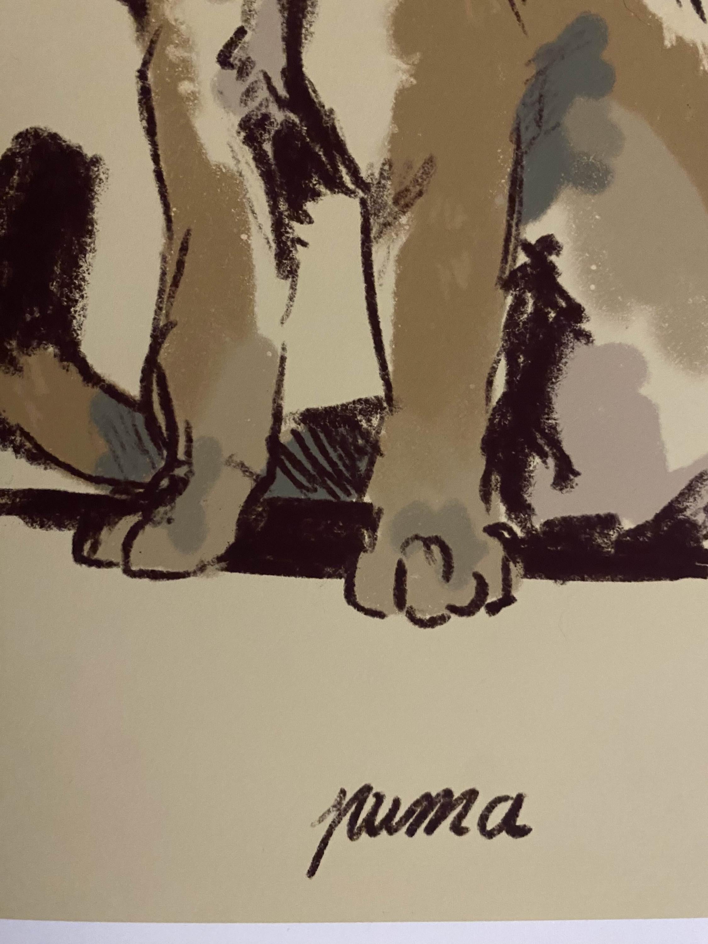 Puma art print - Wildlife illustrations